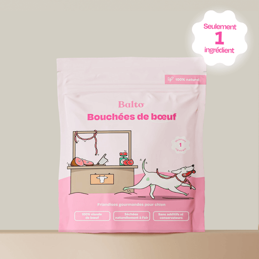 balto-friandises-bouchees-boeuf-chien-principale